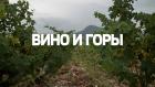 Вино и горы