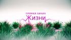 Прямая линия жизни