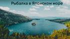 Рыбалка в Японском море - Михаил Мягков