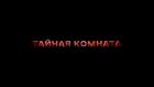 Тайная комната. Дети Третьего рейха
