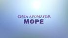 Премьера. "Сила ароматов. Море"