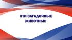 Эти загадочные животные