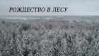 Рождество в лесу