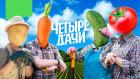 Четыре дачи