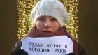 Отдам котят в хорошие руки
