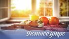 Премьера. Уютное утро