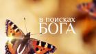 В поисках Бога